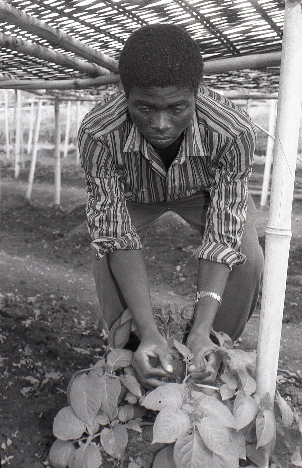 Photos by Millie Morton in Uganda