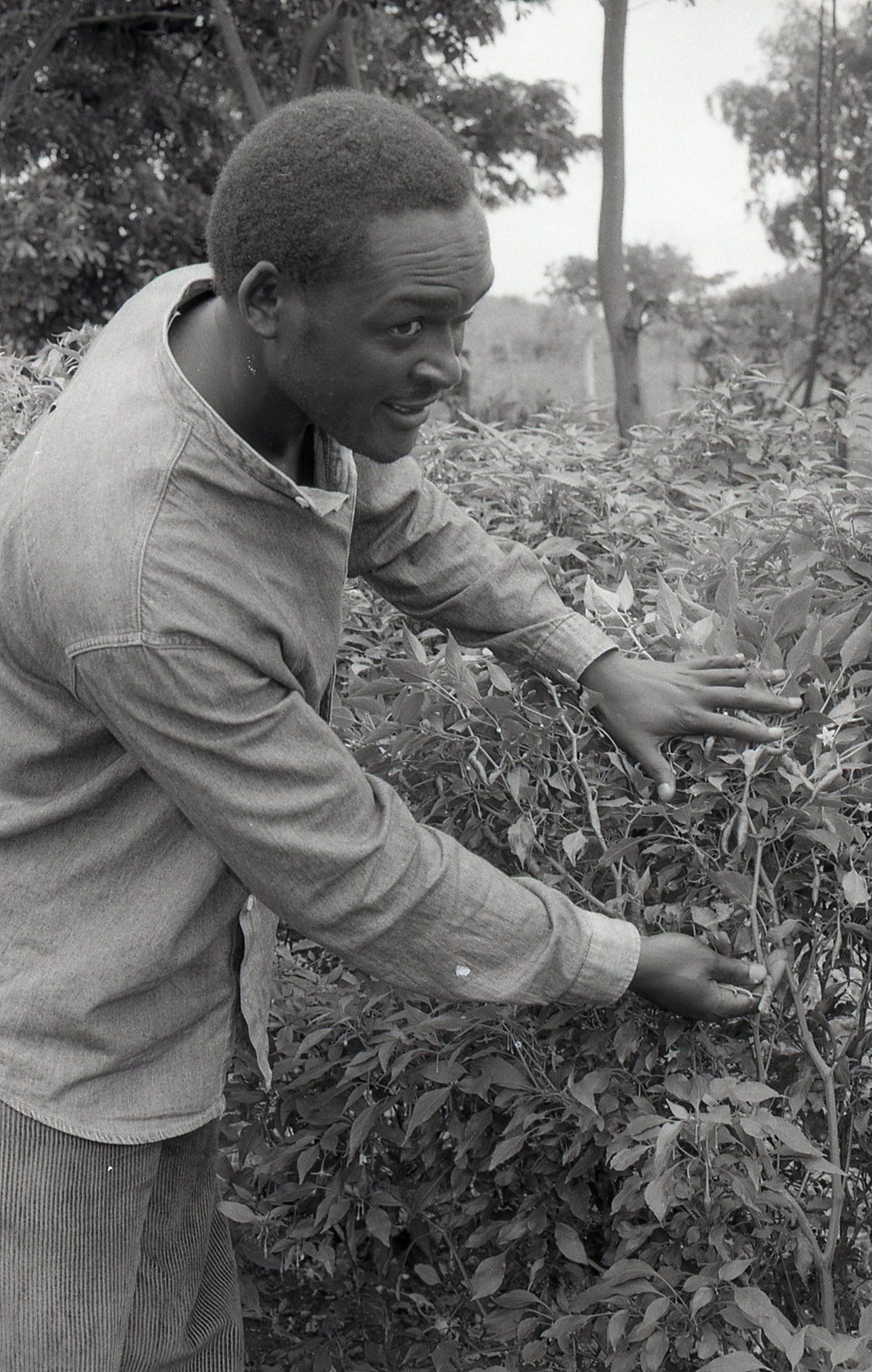 Photos by Millie Morton in Uganda