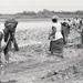 Photos by Millie Morton in Uganda