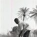 Photos by Millie Morton in Uganda