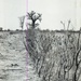 Photos by Millie Morton in Uganda