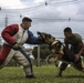 Devil Dog Training