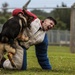 Devil Dog Training