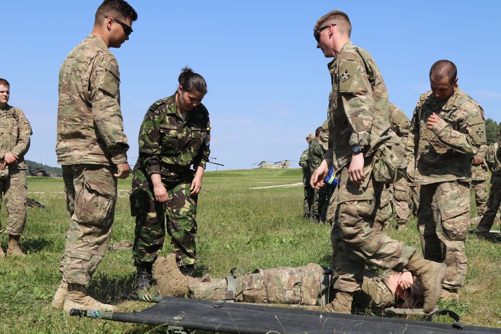 Medics from 5 nations collaborate on first-class field care