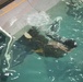 The plunge: 2/6 conducts helicopter underwater egress training