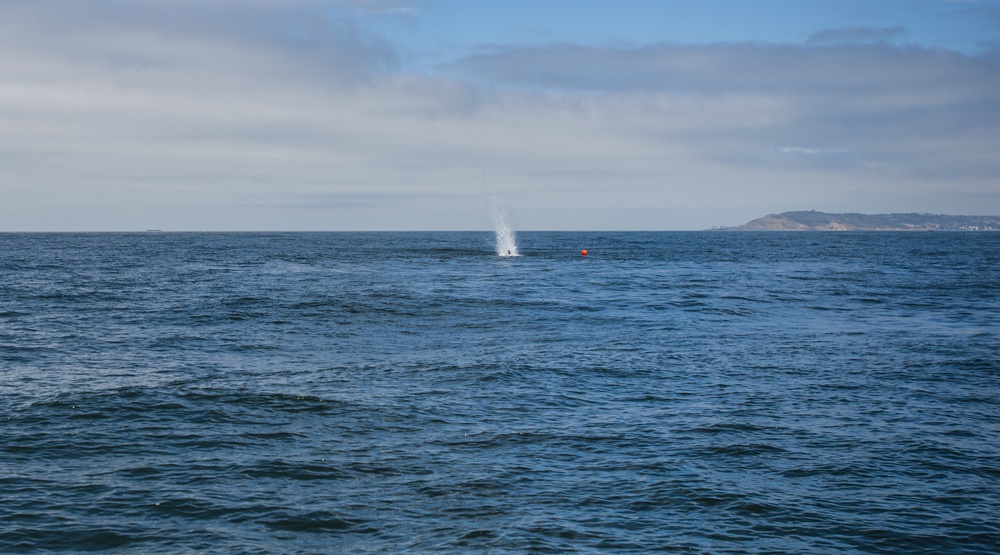 EOD Training Unit Underwater Demolition