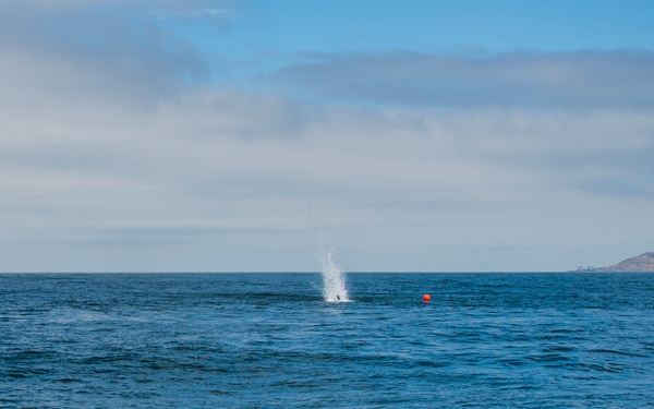 EOD Training Unit Underwater Demolition