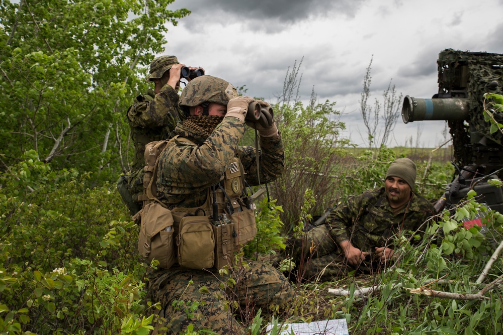 3rd ANGLICO plays key role in exercise Maple Resolve 2017