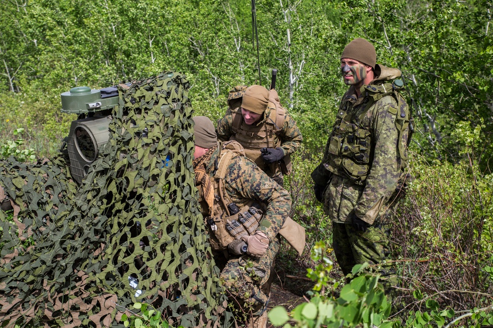 3rd ANGLICO plays key role in exercise Maple Resolve 2017