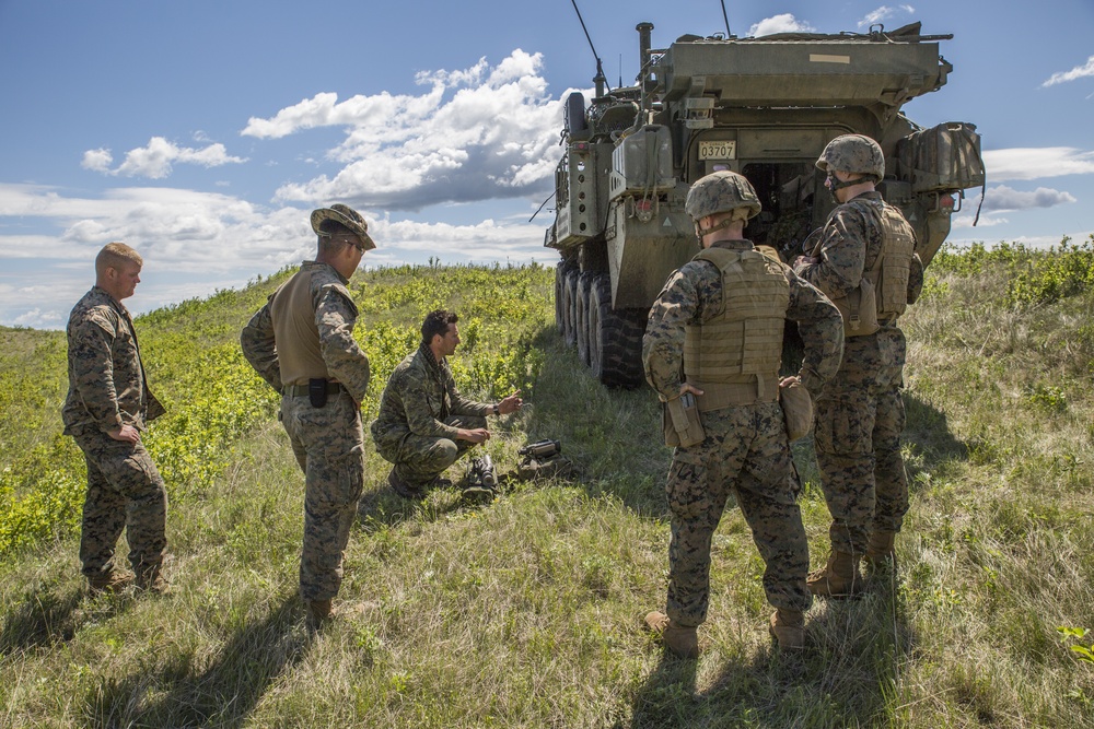3rd ANGLICO plays key role in exercise Maple Resolve 2017
