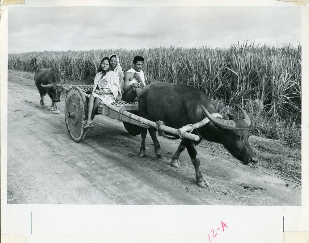 Philippines - (Rural Development, Agriculture, Education, Health)