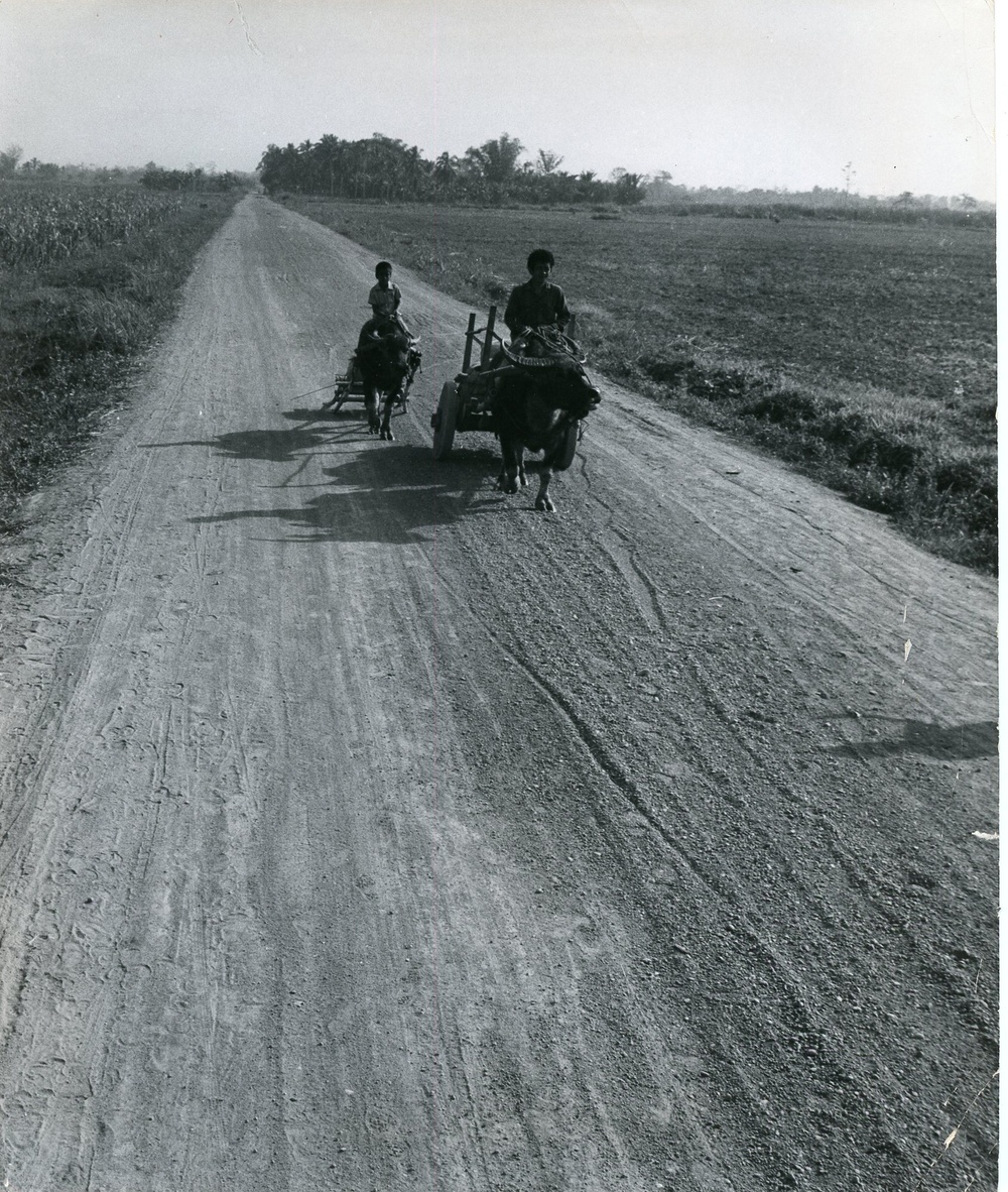 Philippines - (Rural Development, Agriculture, Education, Health)