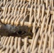 Volunteers band, count Protected Birds on Chièvres Air Base