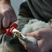 Volunteers band, count Protected Birds on Chièvres Air Base