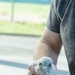 Volunteers band, count Protected Birds on Chièvres Air Base