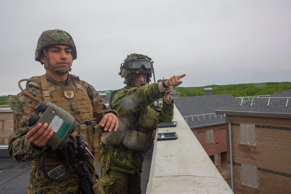 3rd ANGLICO plays key role in exercise Maple Resolve 2017