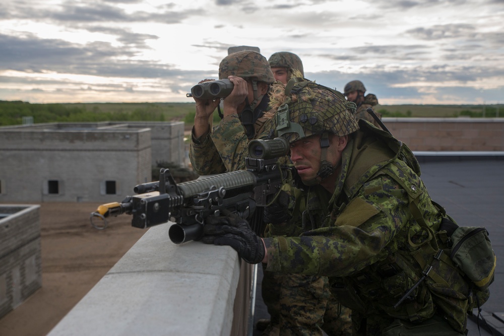 3rd ANGLICO plays key role in exercise Maple Resolve 2017