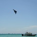 Bombers in Miami