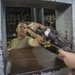 CJTF-HOA Security team provides force protection