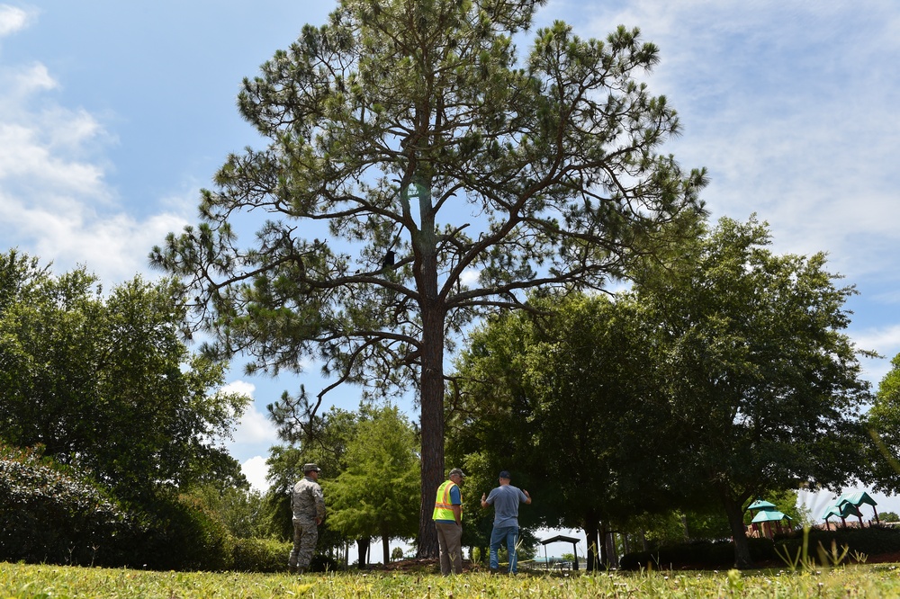 Bears sniff their way to Hurlburt playground