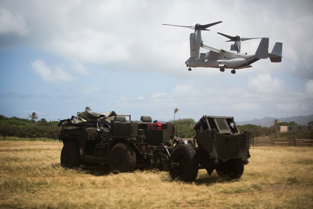 Heavy lifting: 1/12, VMM-268 pack up and take off