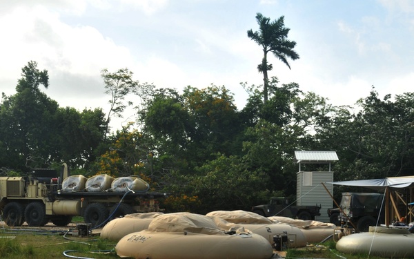 Water Dogs: Heroes Unseen