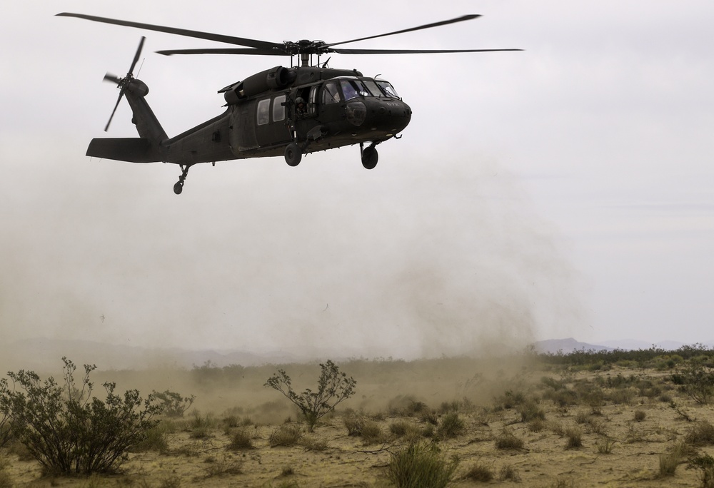 Blackhawks at your service: the 1-106th Aviation Regiment training in California