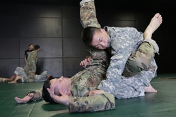 Passing the Guard