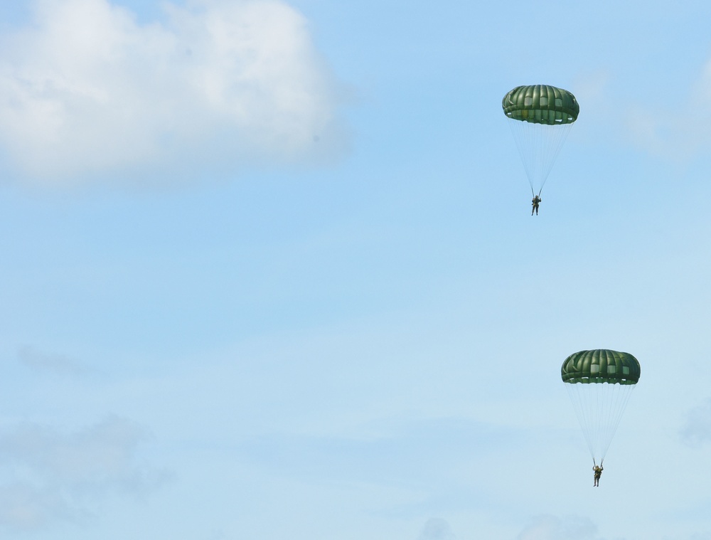 DDAY 73 Airborne