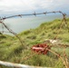 Pointe du Hoc Ranger Commemoration