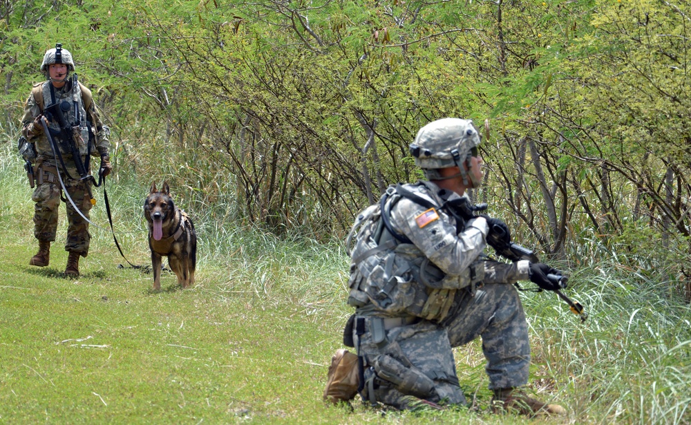‘Workhorse’ MPs train for deployment