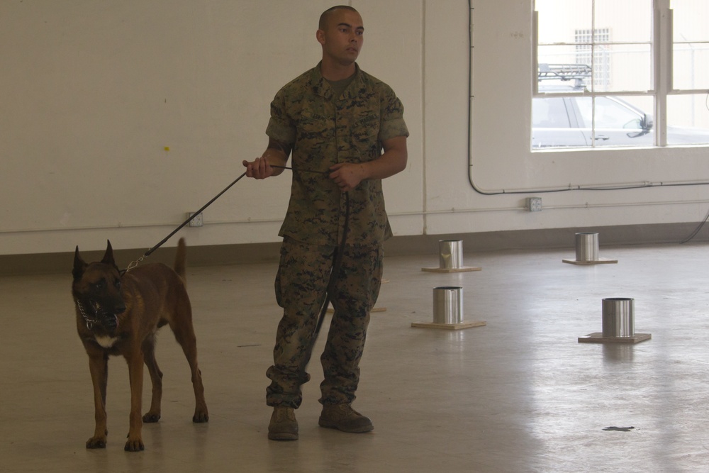 CPEN Hosts ATF lead canine training