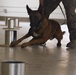 CPEN Hosts ATF lead canine training