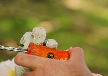 Keiki compete for biggest catch