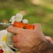 Keiki compete for biggest catch