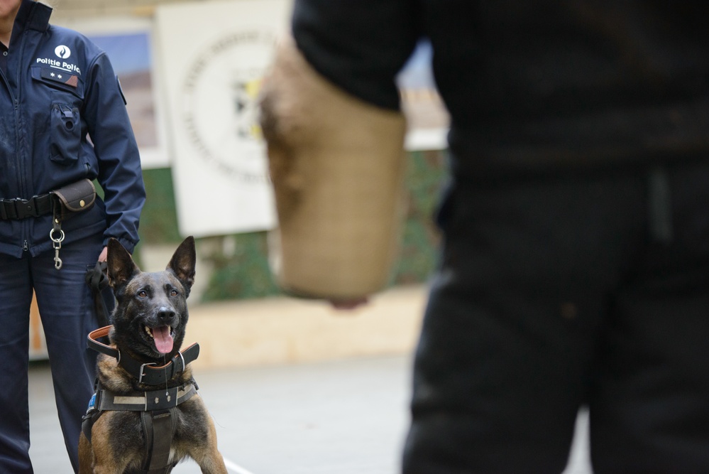 Combined US-Belgian Training in Leopoldsburg
