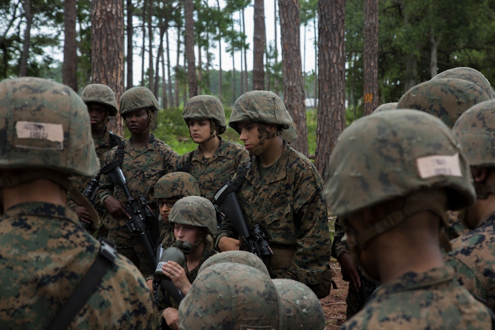 Delta and Papa Company go through Basic Warrior Training