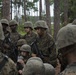 Delta and Papa Company go through Basic Warrior Training