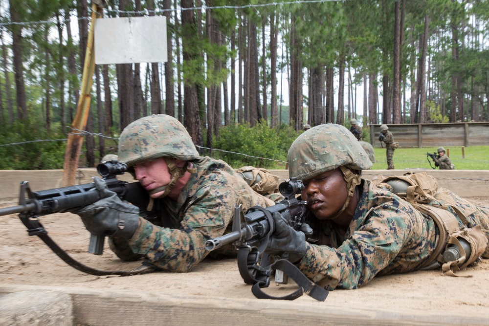 Delta and Papa Company go through Basic Warrior Training