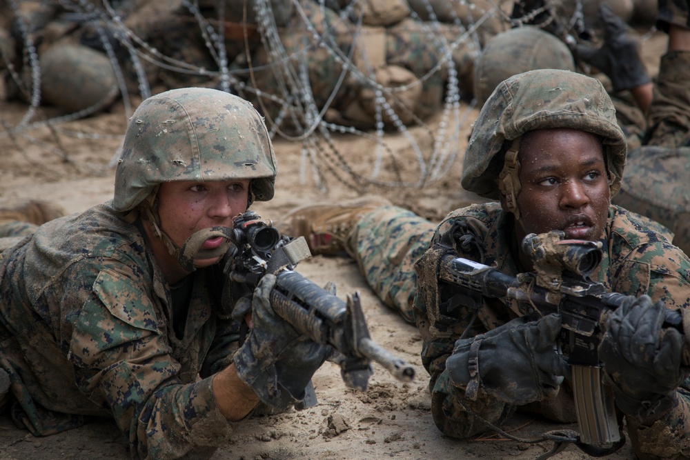 Delta and Papa Company go through Basic Warrior Training