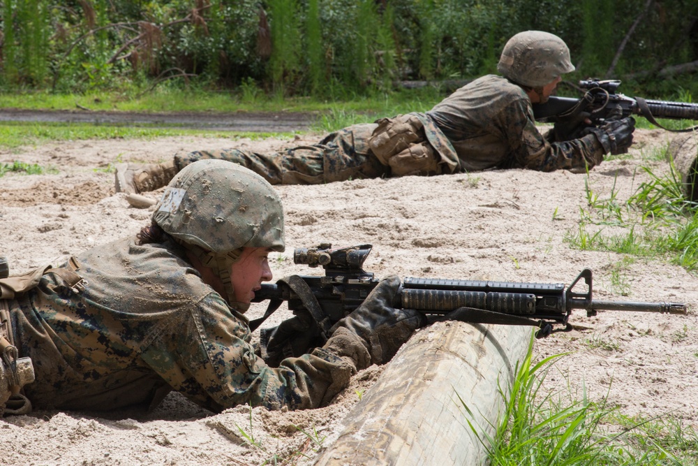 Delta and Papa Company go through Basic Warrior Training