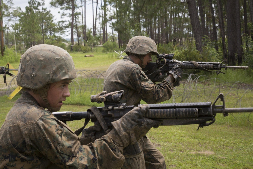 Delta and Papa Company go through Basic Warrior Training