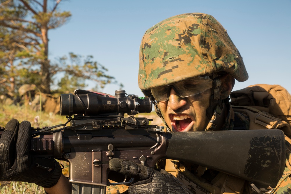 Saber Strike and BALTOPS 17 Amphibious Assault