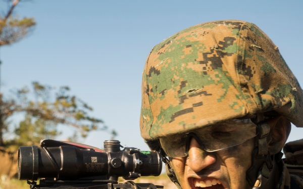 Saber Strike and BALTOPS 17 Amphibious Assault