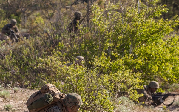 Saber Strike and BALTOPS 17 Amphibious Assault