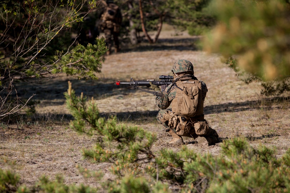 DVIDS - Images - Saber Strike and BALTOPS 17 Amphibious Assault [Image ...