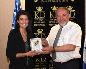 USUN Ambassador David Pressman in Security Council on UNMIK