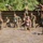 Camp Pendleton Mud Run 2017