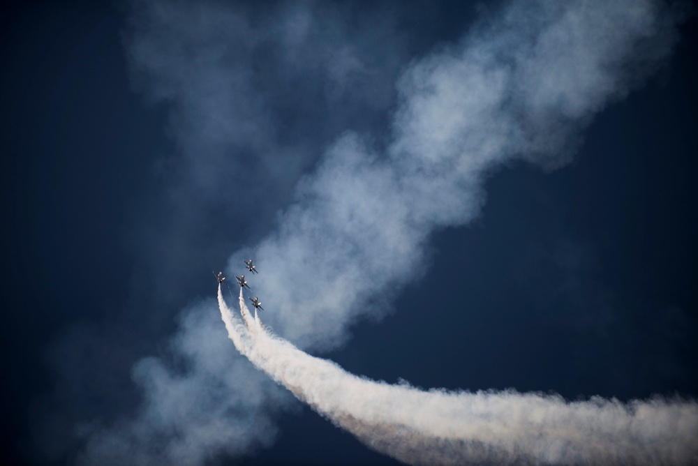 Scott Air Show