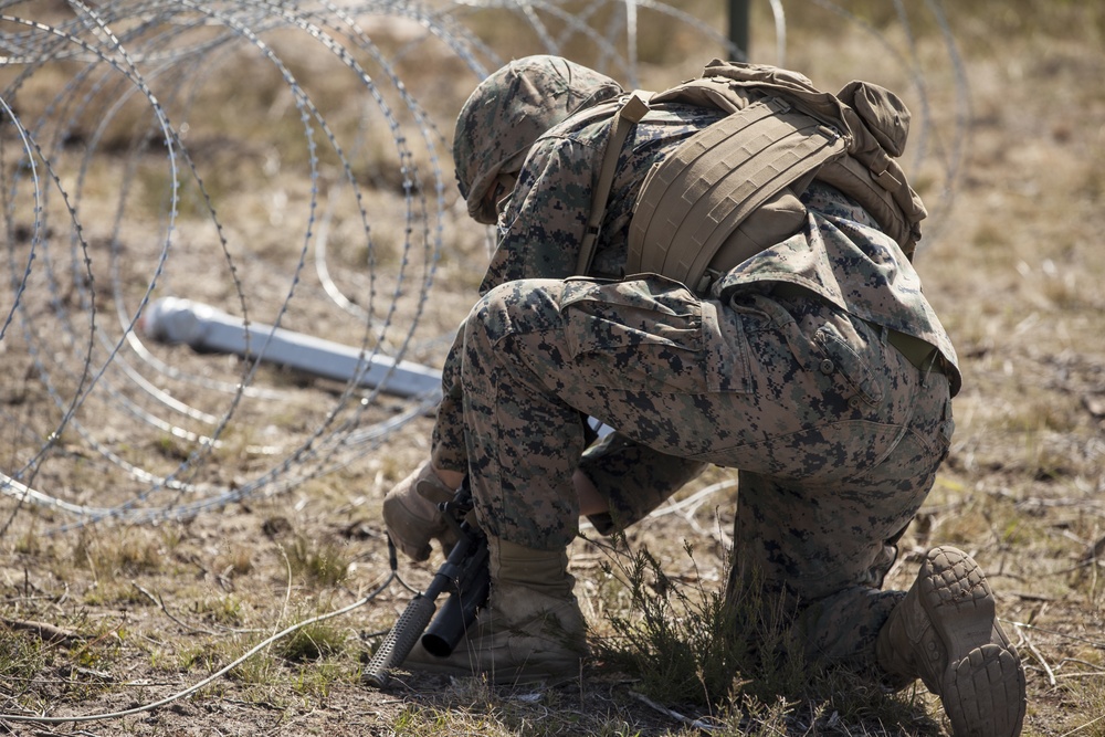 British Royal Marines and U.S. Marines Conduct Live Demolition Exercise